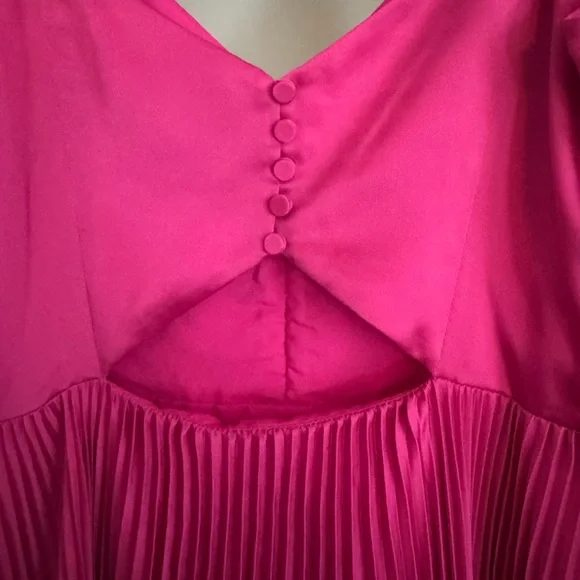 Club Monaco Pink Pleated Gown - Picture 8 of 10